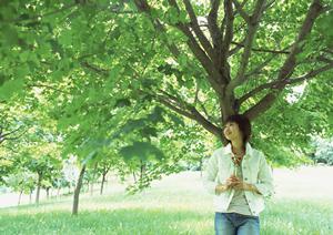 【公式】東横INN松江駅前：島根県松江市で快適＆リーズナブルなビジネス・観光ホテル