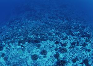 北海道釧路市に位置する東横INN釧路十字街：快適な宿泊を叶えるビジネスホテルの魅力と詳細情報