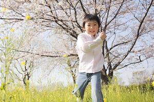 千葉県柏市のビジネスホテル：東横INN柏駅西口の魅力と詳細情報