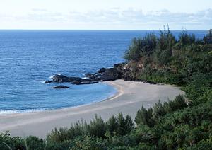 快適な滞在と便利なアクセスを実現する東横INNソウル東大門2の詳細ガイド
