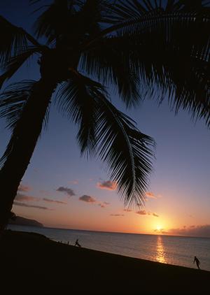 住友不動産ホテルが提供する京都のデザイナーズ和室と充実の大浴場を体験！便利な立地で上質な滞在を実現