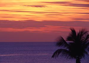 愛媛県新居浜市に位置する東横INN新居浜駅前：快適な宿泊と便利なロケーションを提供するビジネスホテル