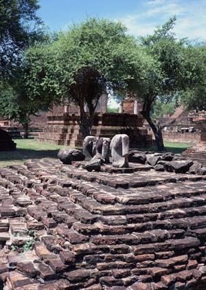 横浜・二俣川駅徒歩3分のビジネスホテル｜東横INN二俣川駅北口の魅力と詳細情報