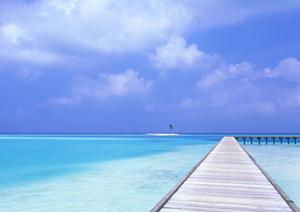 六本木で楽しめる新感覚ポーカー体験｜ヒゲゴリラの魅力と店舗紹介