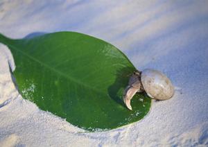 快適な滞在を実現する東横INN阪神尼崎駅前の魅力と施設詳細