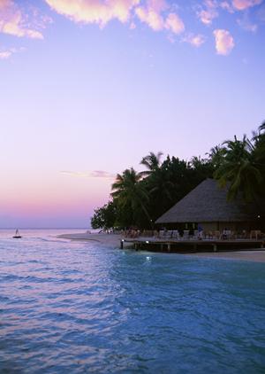 さいたま新都心の便利さと快適さを実現する東横INNさいたま新都心の詳細ガイド