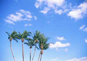 ビジネス出張や観光に便利！東横INN一ノ関駅前の魅力と特徴