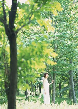 博多駅から徒歩2分！東横INN博多駅バスターミナル前の快適な宿泊体験と便利な施設情報