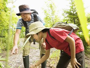 便利で快適な宿泊を提供する東横INN蒲田東口：駅近のビジネスホテルの魅力と詳細情報